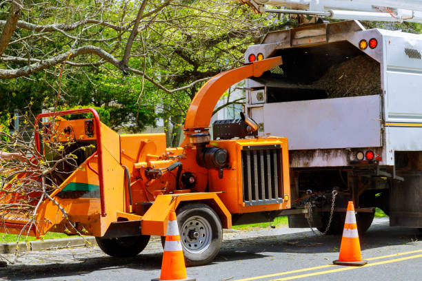 Best Leaf Removal  in Linganore, MD